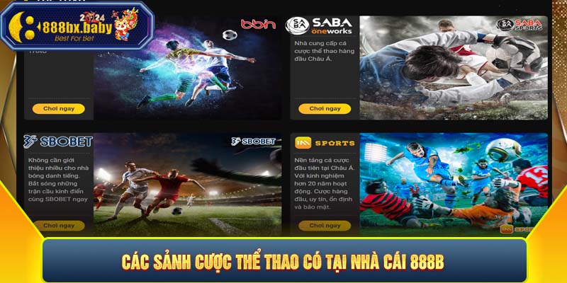 Các sảnh cược thể thao có tại nhà cái 888B